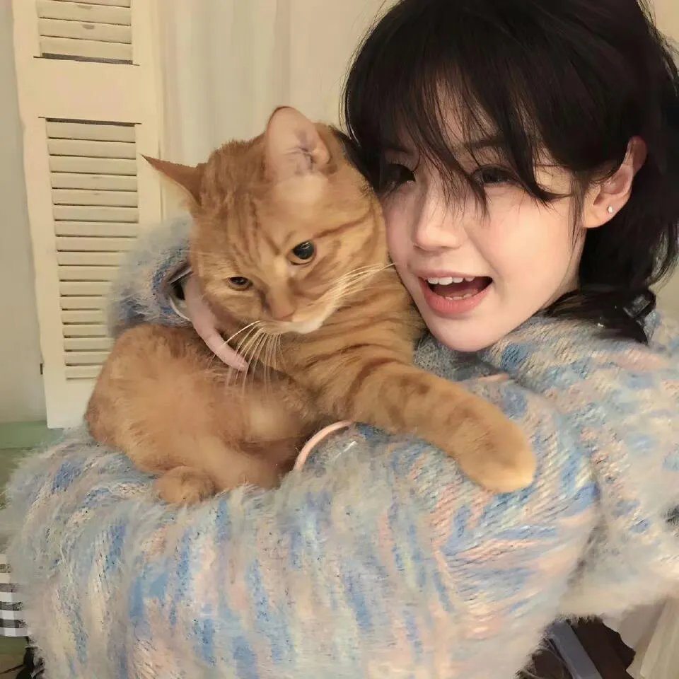 女猫